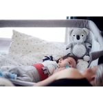 Kép 3/3 - Chipolino projektoros zenélő plüss játék - Koala