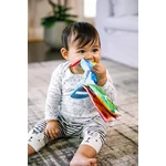 Kép 5/7 - Baby Einstein Rágóka/könyv Curious Explorers ™, 0 hó+
