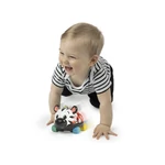 Kép 3/9 - Oball Autó és csörgő, 2in1 Curious Car, zebra, Zen™, 3 hó+
