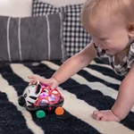 Kép 7/9 - Oball Autó és csörgő, 2in1 Curious Car, zebra, Zen™, 3 hó+