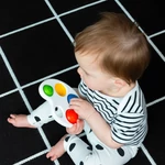 Kép 10/10 - BABY EINSTEIN Érzékszervi játék paletta Color Pop Palette™ 6m+