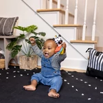 Kép 4/10 - BABY EINSTEIN Rágóka csörgővel zebra Zen™ Shake-a-Shape BPA mentes - 0hó+