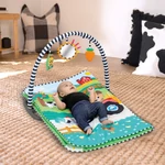 Kép 3/10 - BABY EINSTEIN Játszószőnyeg 3D farmmal Busy Barnyard™ 0m+