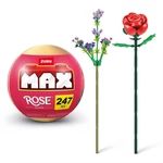Kép 2/3 - MAX rózsa