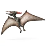 Kép 2/2 - Bullyland 61364 Pteranodon