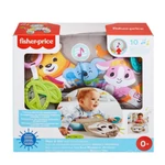 Kép 4/4 - Fisher-Price pocakpárna lajháros GRR01