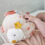 Kép 4/7 - Nattou foglalkoztató játék plüss Mila, Zoe and Lana - Zoe, a süni