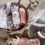 Kép 6/7 - BabyOno csörgő papagáj 1550