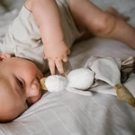 Kép 6/10 - BabyOno szundikendõ Zoe liba plüss 1556