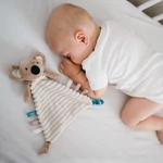 Kép 3/6 - BabyOno szundikendő Charlie koala plüss 1559