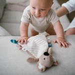 Kép 4/6 - BabyOno szundikendő Charlie koala plüss 1559
