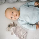 Kép 6/10 - BabyOno szundikendõ Koala Coco plüss 1635