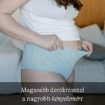 Kép 4/5 - Lansinoh szülés utáni mosható alsónemű 4 db