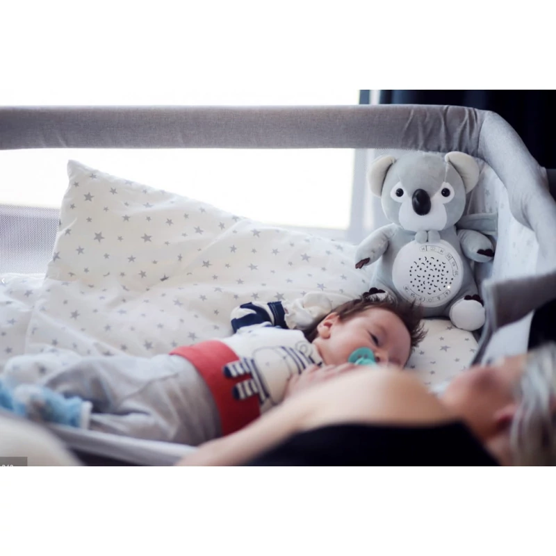 Chipolino projektoros zenélő plüss játék - Koala