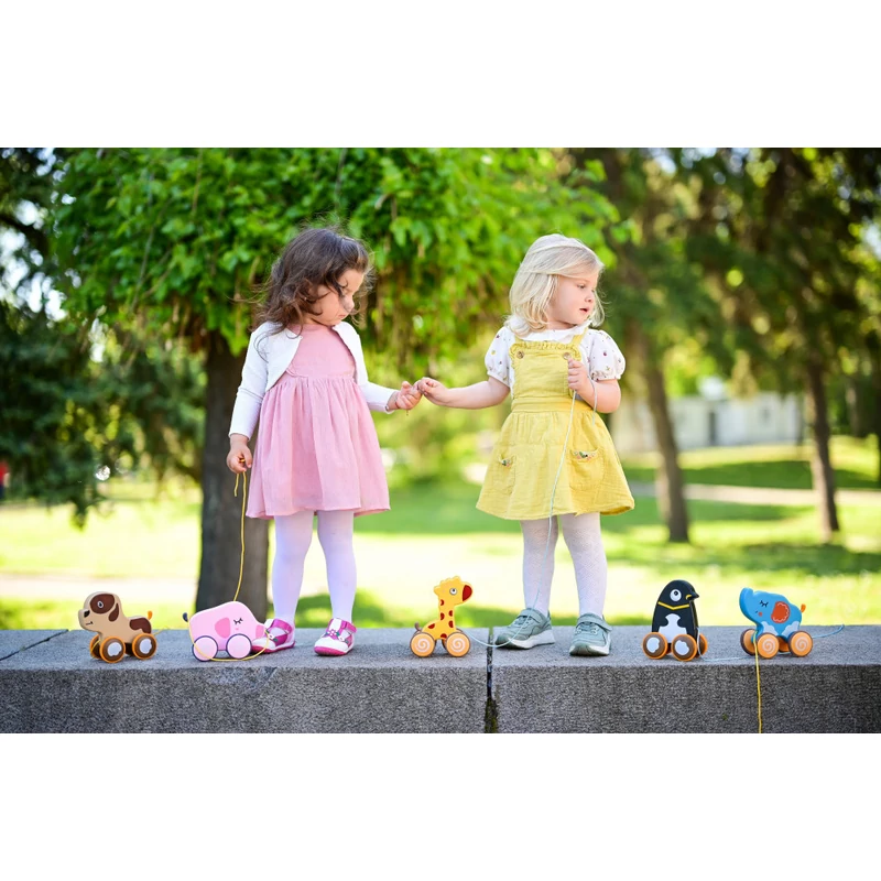 Lorelli Toys készségfejlesztő játék - Puppy