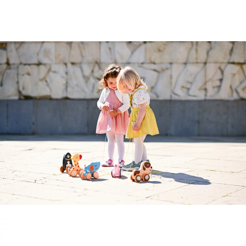 Lorelli Toys készségfejlesztő játék - Puppy