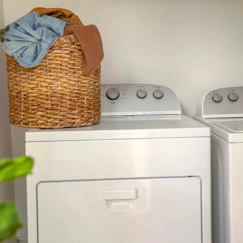 INGENUITY Konvertibilis utazó hinta dallamokkal Bella Teddy™ 0m+ 9kg-ig