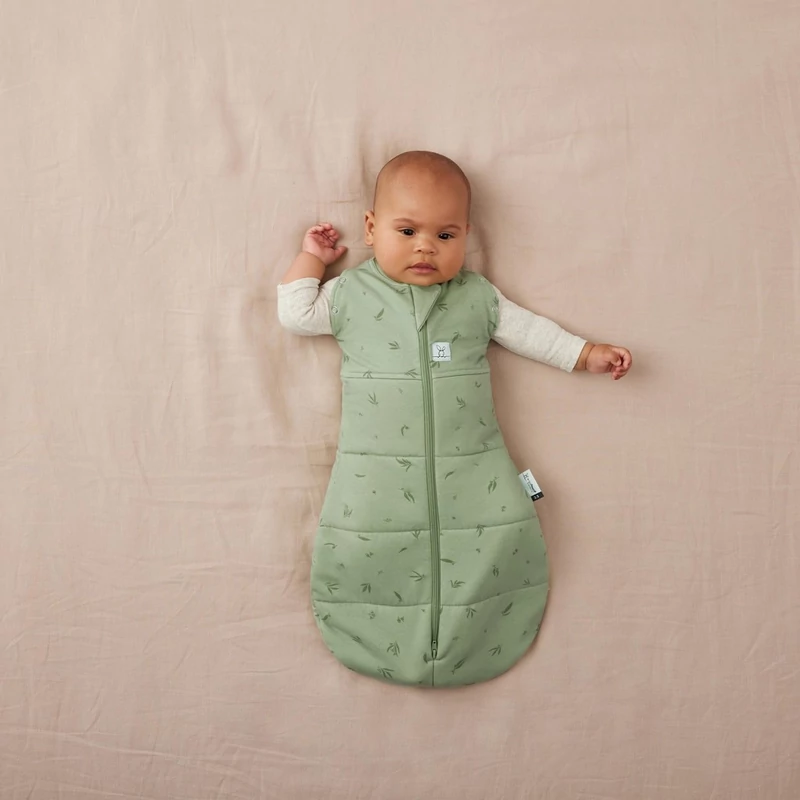 ERGOPOUCH Hálózsák és pólya 2 az 1-ben 0-3 hó 3-6 kg 2,5 tog - Cocoon Willow
