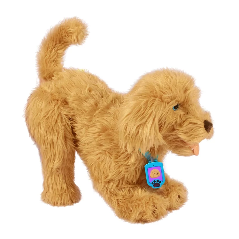 MOJI Szeretnivaló Labradoodle kutyus