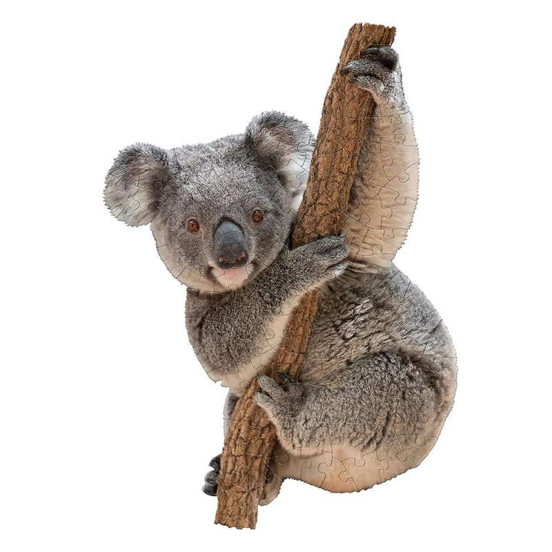 WOW Puzzle junior 100 db - Koala