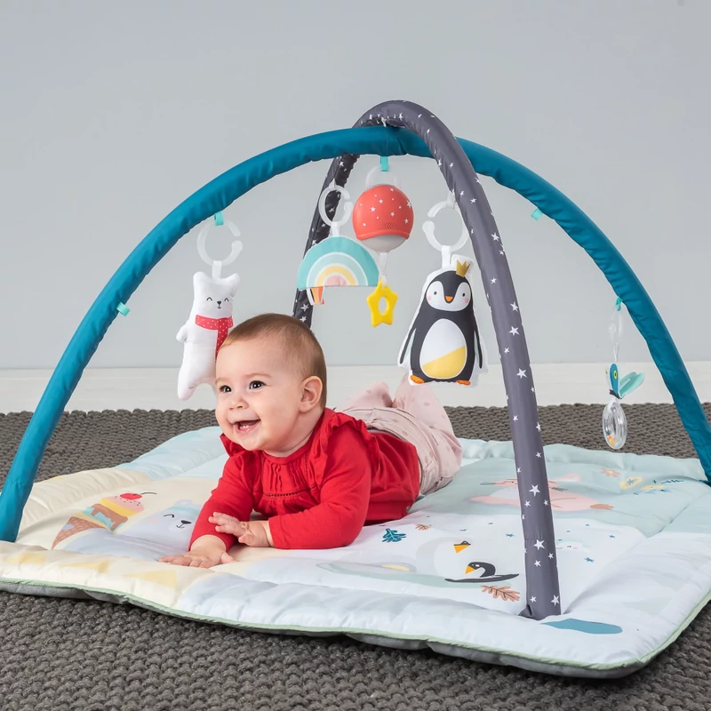 Taf Toys játszószőnyeg - játékhíddal Északi Sark 4 évszak 12565