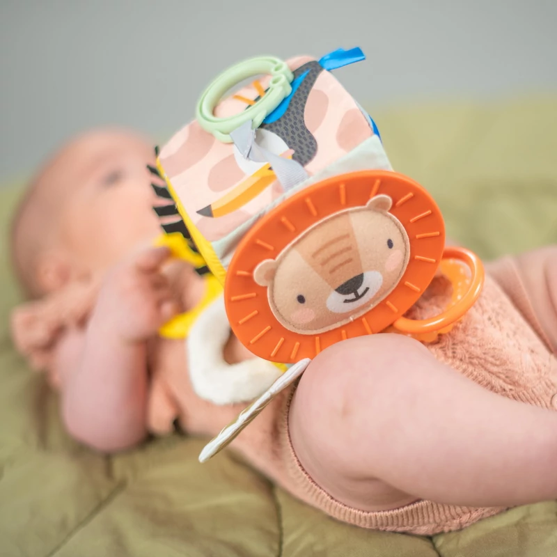 Taf Toys készségfejlesztõ játékkocka - Szavanna 12755