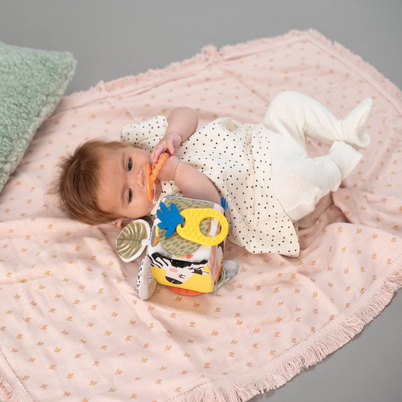 Taf Toys készségfejlesztő játékkocka - Szavanna 12755