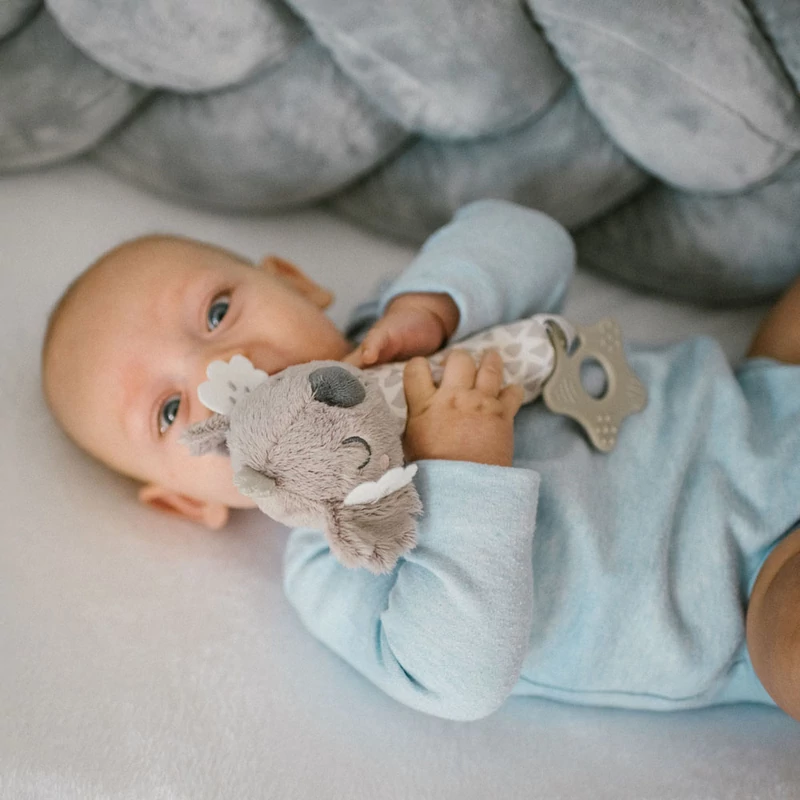 BabyOno sípoló Koala Coco plüss 1633