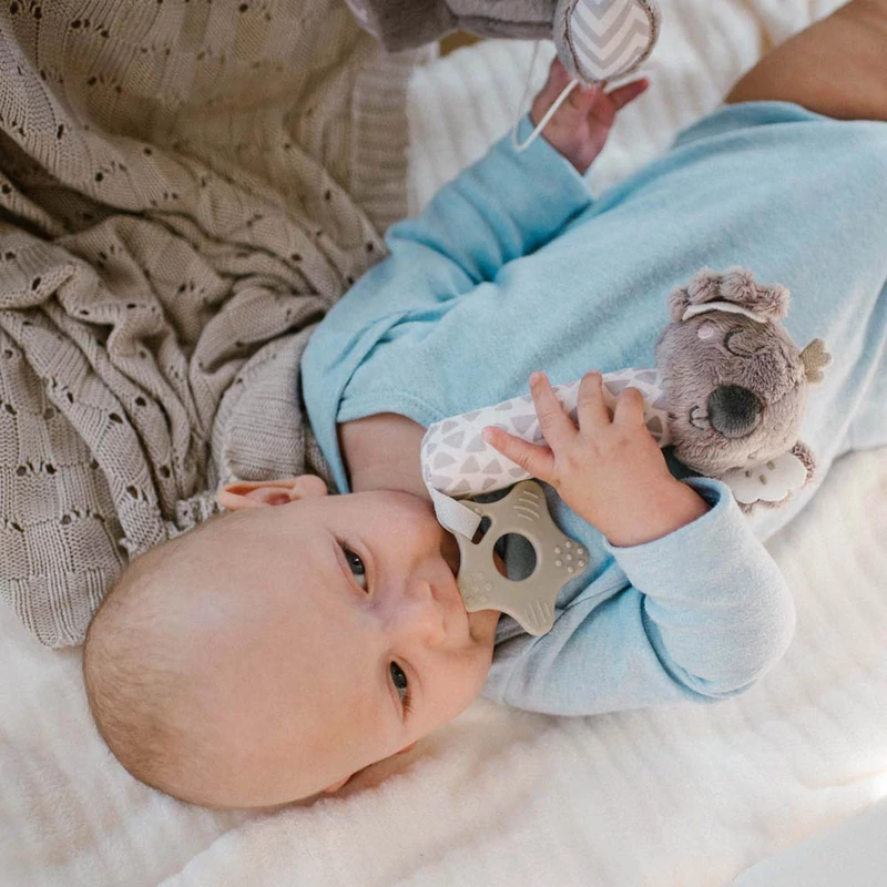 BabyOno sípoló Koala Coco plüss 1633