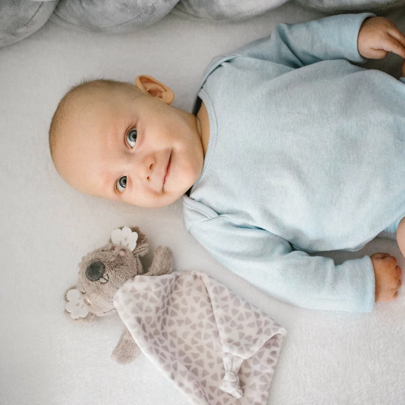 BabyOno szundikendõ Koala Coco plüss 1635